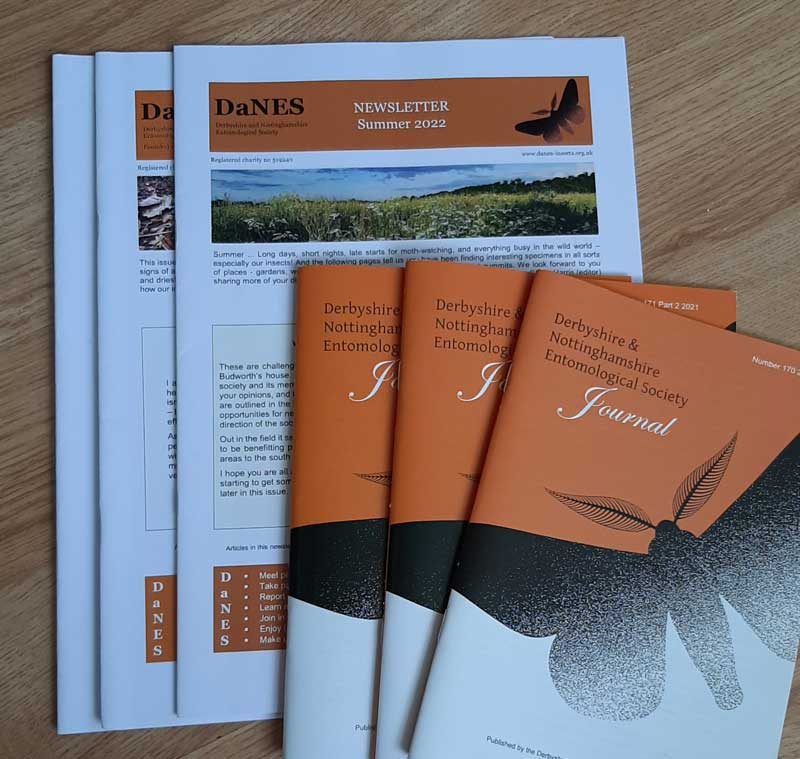 image of DaNES journals and newsletters