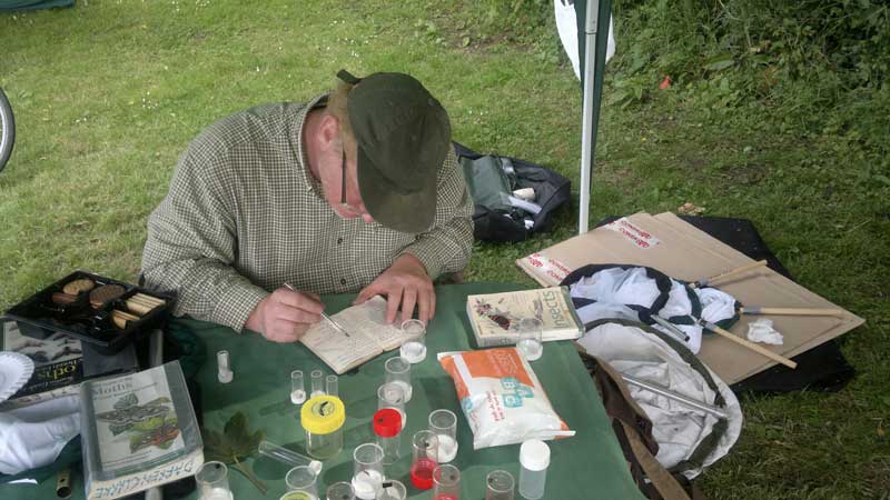 image of someone recording insects outdoors